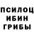 Псилоцибиновые грибы Cubensis Uliana ksenofontova