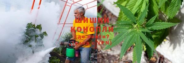 MESCALINE Верхний Тагил
