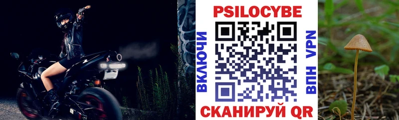 Псилоцибиновые грибы ЛСД  blacksprut ССЫЛКА  Гвардейск 